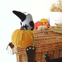 Amigurumi Raven and pumpkin Crochet Pattern. Amigurumi crown Halloween crochet pattern