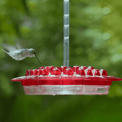 ant proof sweety hummingbird feeder with perch – outdoor hanging yard garden decoration, perfect gift for garden lovers