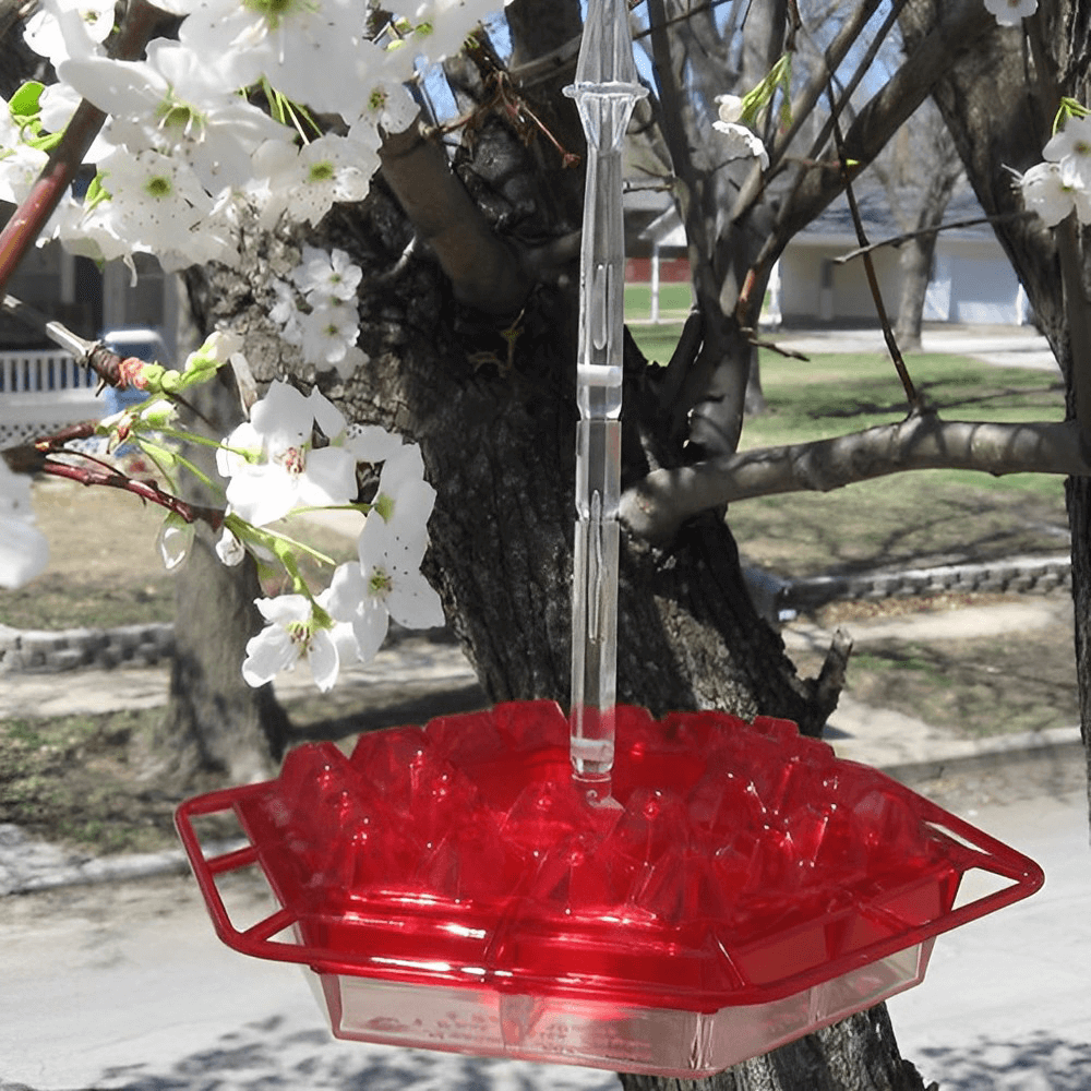 best height for hummingbird feeder