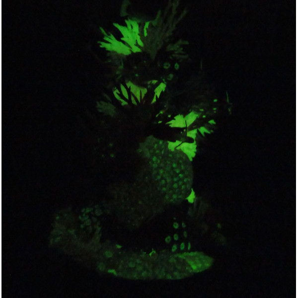 glow-in-the-dark-sculpture-1.JPG