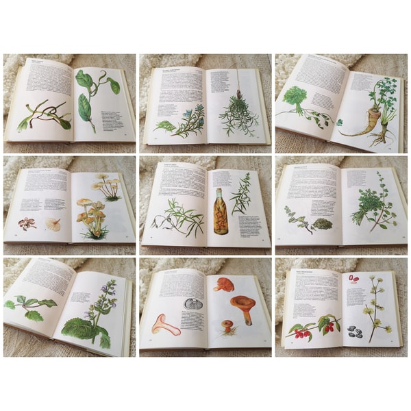 Botanical Guide Book Herbs and Spices illustration book, Vintage botanical guide, - Inspire ...