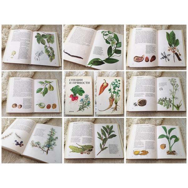 Botanical Guide Book Herbs and Spices illustration book, Vintage botanical guide, - Inspire ...