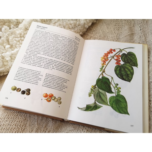 Botanical Guide Book Herbs and Spices illustration book, Vintage botanical guide, - Inspire ...