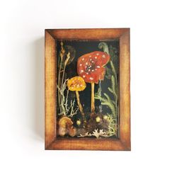 Resin Mushroom Art Amanita Muscaria Pressed Mushrooms Frame Mushroom Decor Preserved Mushroom