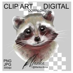 Raccoon Clipart PNG Illustration Animal Head digital art
