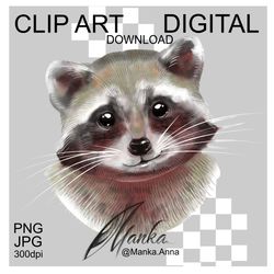 raccoon clipart png illustration animal head digital art