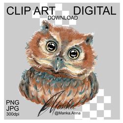 Owl Clipart PNG Illustration Cute Animal Head Digital Art