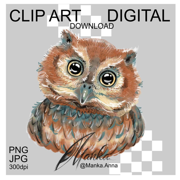 Owl-drawing-clipart-png-cute
