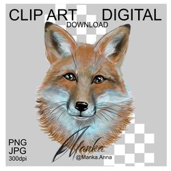 Fox Clipart PNG Illustration Cute Animal Head Digital Art