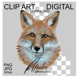 fox clipart png illustration cute animal head digital art