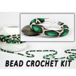 Bead crochet kit, DIY jewelry, beading kit, pattern of a snake, DIY beading kit, adult craft kit, seed bead bracelet