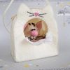Cat felt and carrier, Stuffed animal pattern sewing.jpg