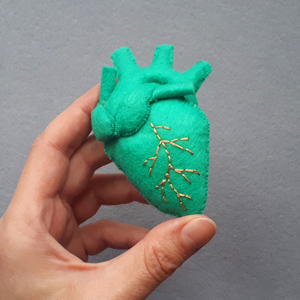 Green Human heart pattern, anatomy heart.jpg