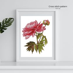 Watercolor Pink Peony cross stitch PDF pattern, Flower embroidery designs, Instant download, DIY and crafts
