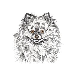 Spitz dog. Machine embroidery design. There are 5 sizes in the set.