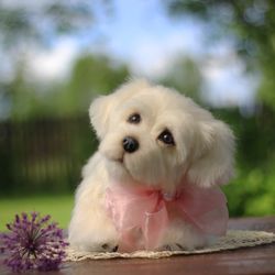 MADE TO ORDER. Plush Maltese Puppy. Teddy dog. Cute puppy. Unique gift. Pet Maltese. Gift dog. Home decor