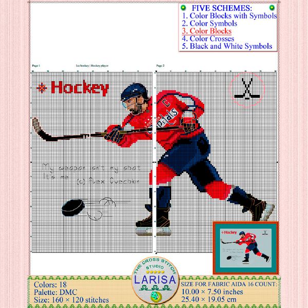 08-hockey.jpg