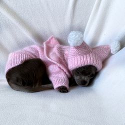 Dog Sweater and hat, Pets Clothing, Chihuahua hoodie