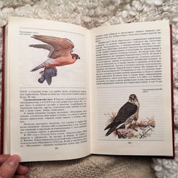 Rare birds, animals field guide, vintage birds book, birds illustrations, endangered species, 1987
