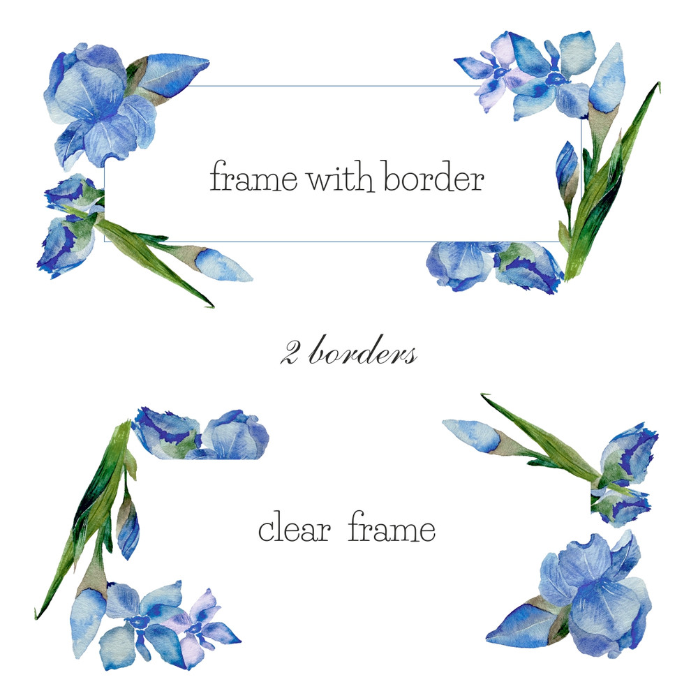 iris3.jpg