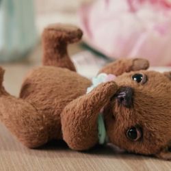 Small brown teddy bear, stuffed toy, teddy toy
