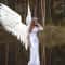 large angel wings 2.jpg