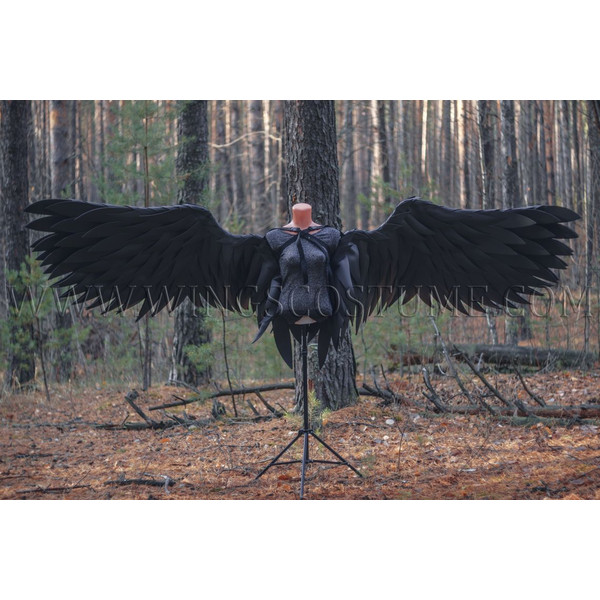 large angel wings 6.jpg