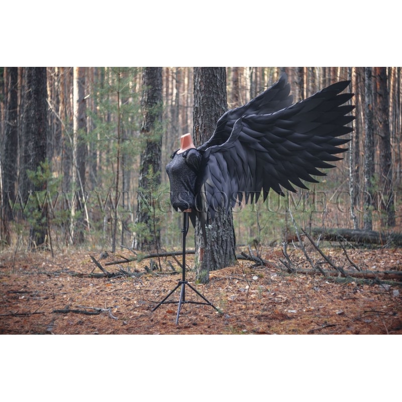 large angel wings 11.jpg