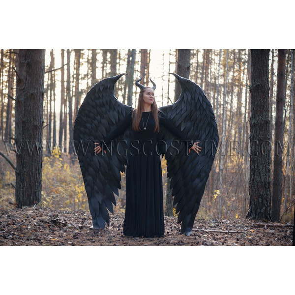 Maleficent wings costume 8.jpg