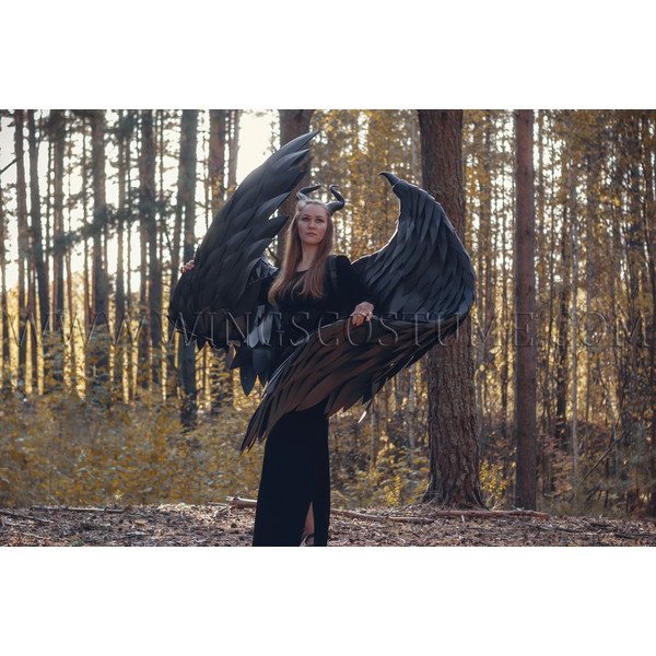 Maleficent wings costume 6.jpg