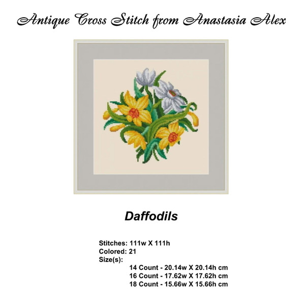 Daffodils-2.jpg