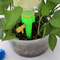 plantselfwateringspikes2.png
