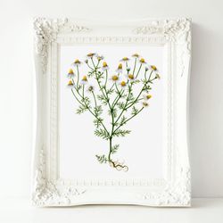 Watercolor print "Lovely daisies" (DIGITAL), Valentine's Day