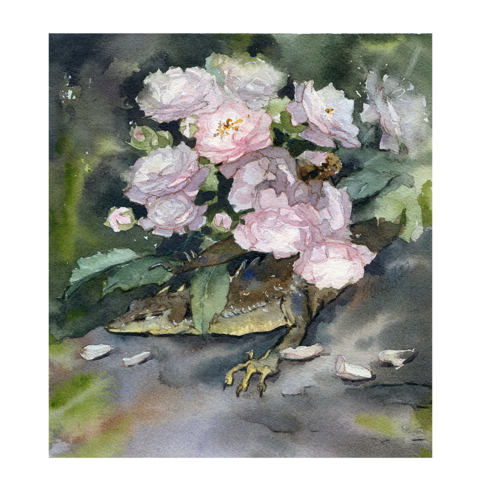 Dragon under the roses.jpg