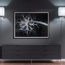 abstract b&w floral photo frame art, digital download room decor, printable wall art gift