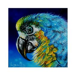 African Birds Oil Painting Original Safari Art Exotic Birds Art Macaw Wall Art