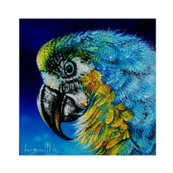 african birds oil painting original safari art exotic birds art macaw wall art