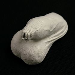 Flaccid penis 2, erotic art sculpture, plaster penis sculpture, adult content.