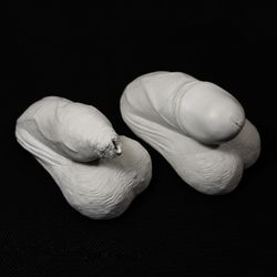 Set of Two flaccid penises 2, erotic art sculpture, plaster penis sculpture, adult content.
