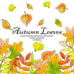 Watercolor fall leaves clipart set, Autumn leaves, PNG, Autumn Decor, Autumn Clipart, Maple, Ash, Oak Leaves