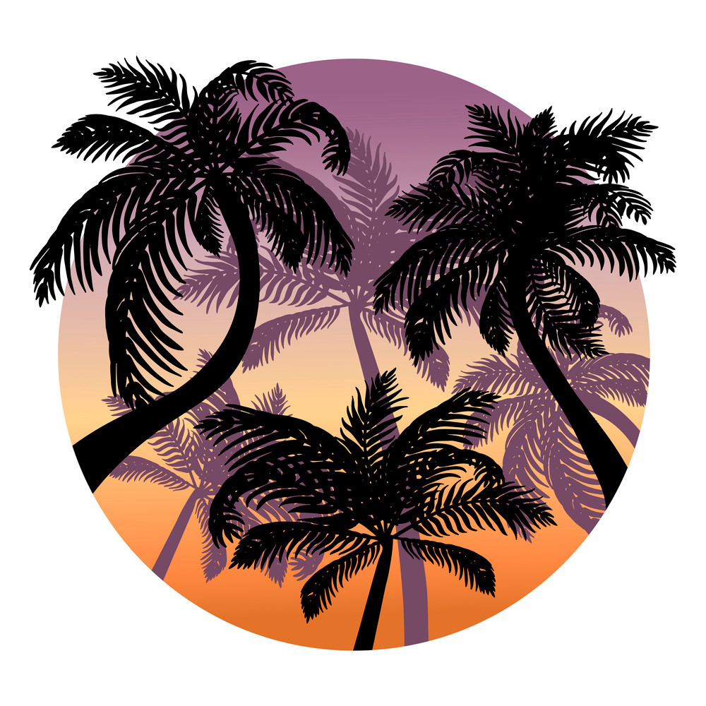 palm 3п.jpg