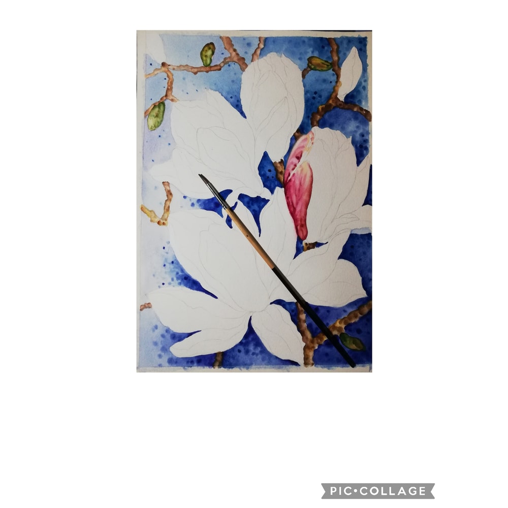 Collage 2022-04-24 22_59_58.jpg