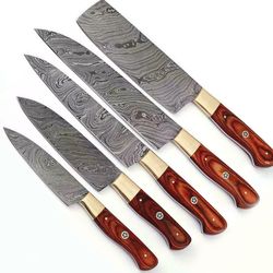 Custom Hand Forged Kitchen Knives Set with Wood and Brass