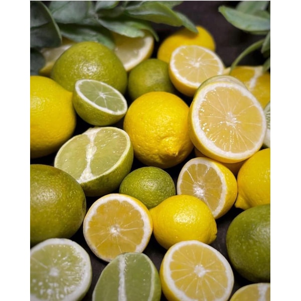 Citrus course. Miniature. Tutorials polymer clay. Orange le Inspire