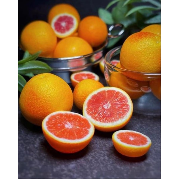 Citrus course. Miniature. Tutorials polymer clay. Orange le Inspire