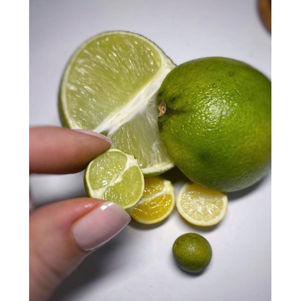 Citrus course. Miniature. Tutorials polymer clay. Orange le Inspire