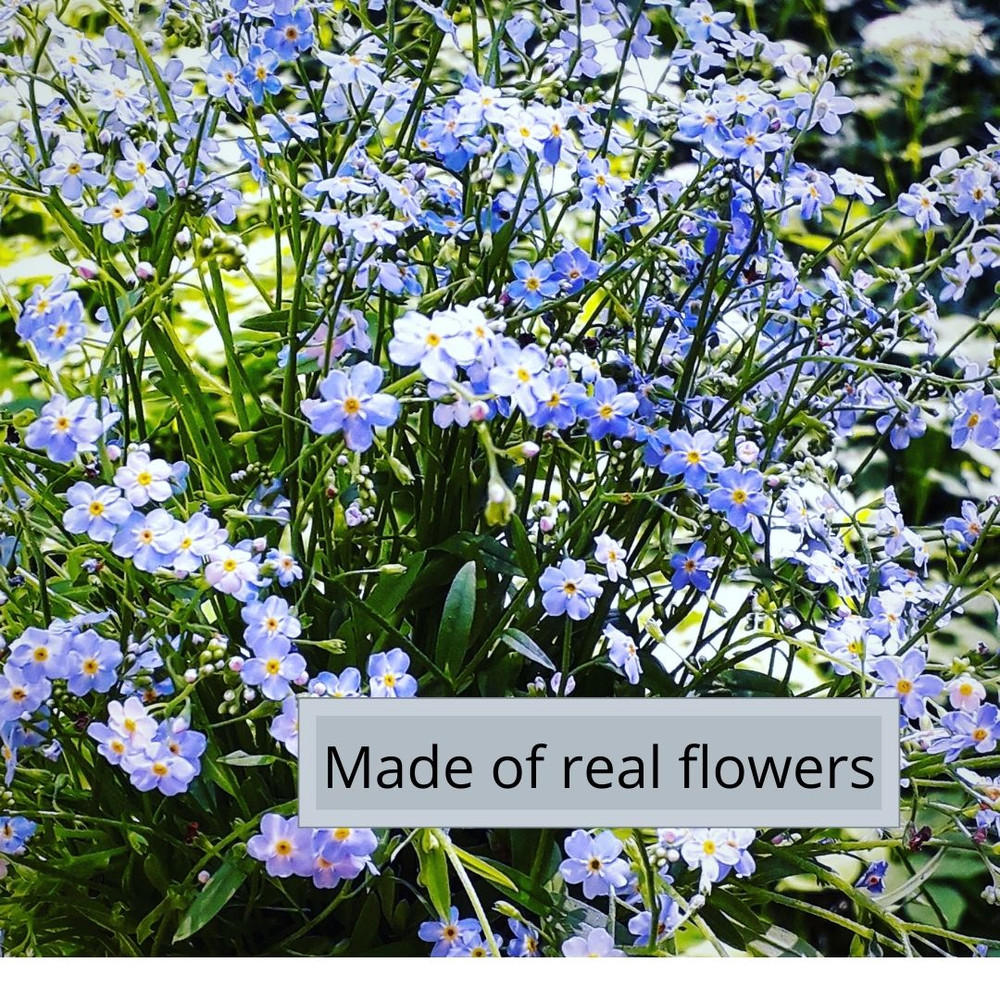 незабудка с надписью.jpg