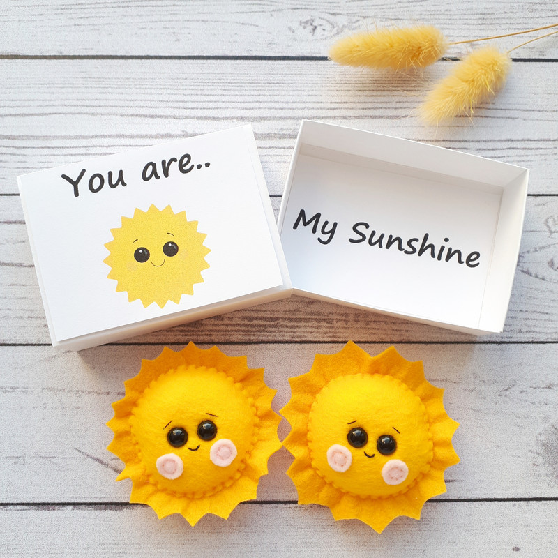 You-are-my-sunshine-hug-in-a-box-1