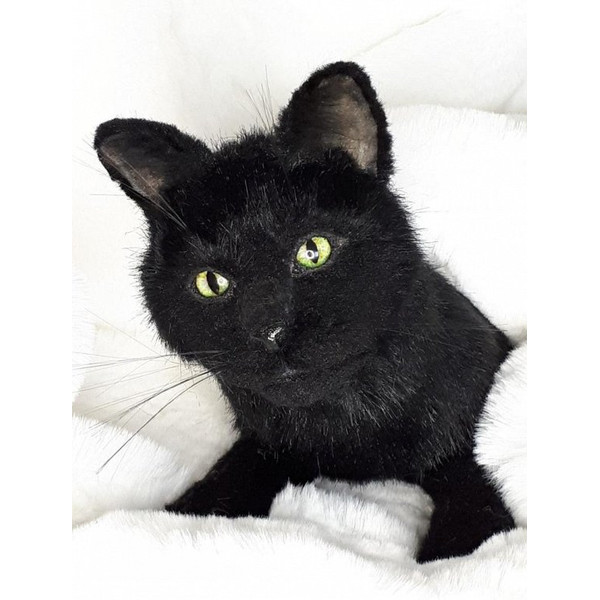 cat-realistic-toy-black-plush-collectible.jpg