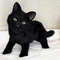 collectible-cat-realistic-toy-black-plush.jpg